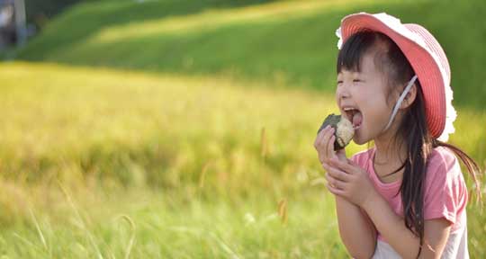 食育